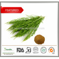 Horsetail Extract Powder, 8% Silica, Equisetum Arvense, For bones, hairs, nails